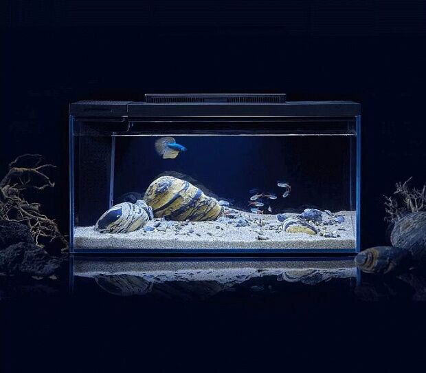 Умный аквариум с оформлением Petkit Origin Fish Single Cylinder with Landscape Quiet Stone Set 10L - 2