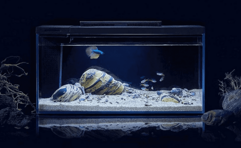 Внешний вид умного аквариума Xiaomi Petkit Origin Fish Single Cylinder with Landscape Quiet Stone Set